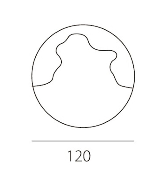 Venere Riflessi Specchio