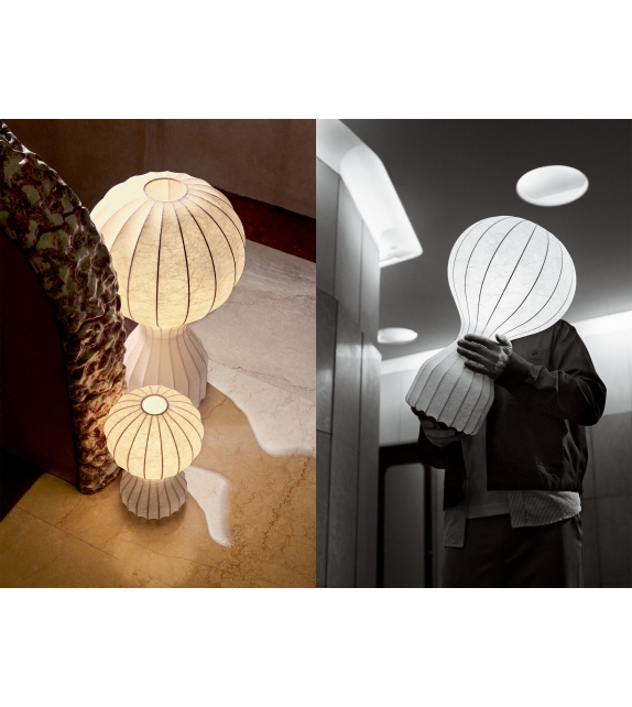 Gatto Flos Table Lamp