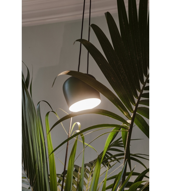 Aim Flos Pendant Lamp
