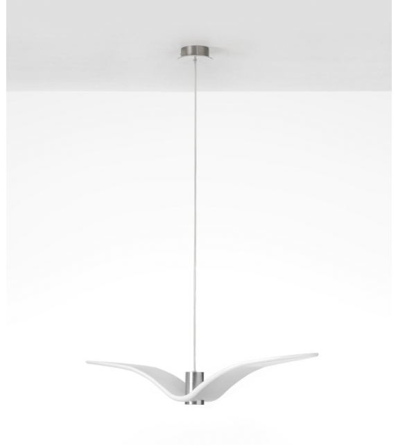 Night Birds Brokis Suspension