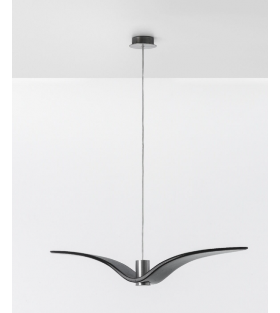 Night Birds Brokis Suspension