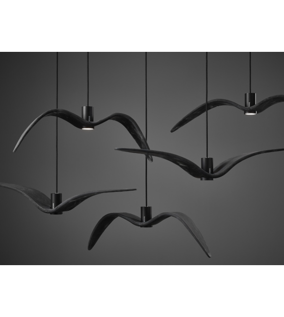 Night Birds Brokis Suspension