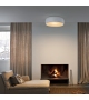Smithfield Flos Ceiling Lamp