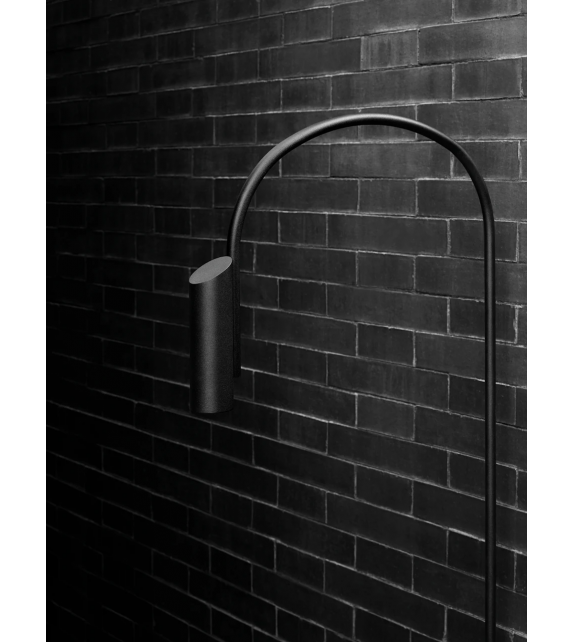 Caule Flos Lampada da Terra