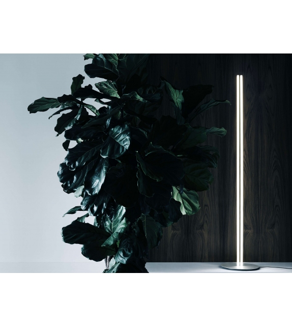 Coordinates Flos Floor Lamp