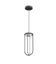 In Vitro Flos Suspension