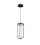 In Vitro Flos Suspension
