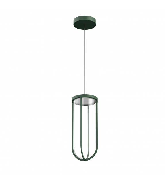 In Vitro Flos Suspension