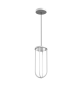 In Vitro Flos Suspension