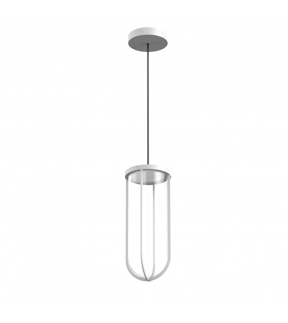 In Vitro Flos Suspension
