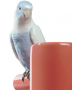 Parrot Parade Lladró Vase