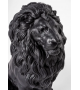 Majestic Lion Lladró Scultura