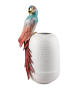 Macaw Bird Lladró Vaso