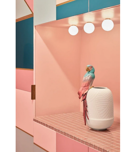 Macaw Bird Lladró Vaso