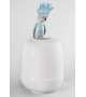 Cockatoo Lladró Vaso