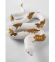 Snake Lladró Sculpture