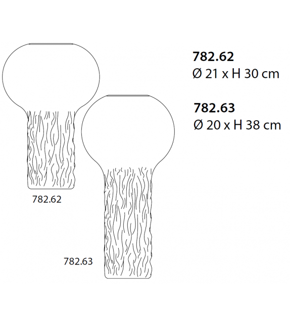 Anatomy Venini Florero
