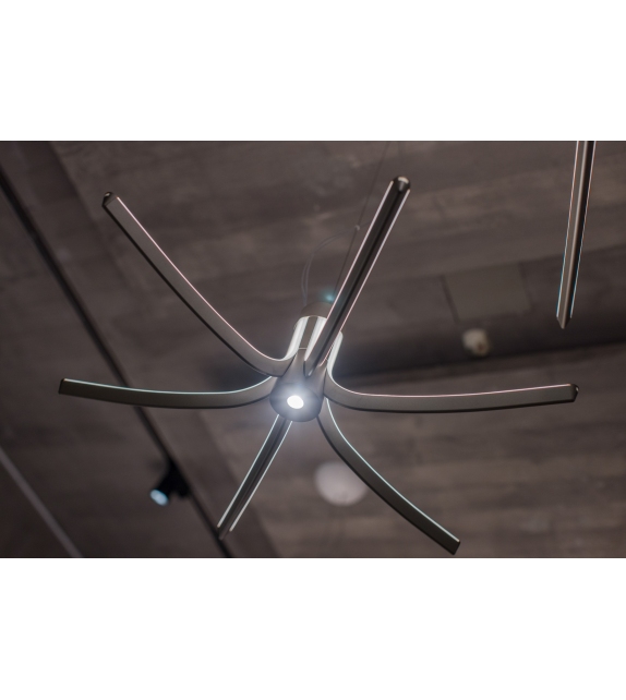 Asteria Hängeleuchte Foscarini