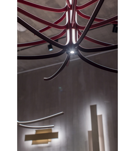 Asteria Pendant Lamp Foscarini