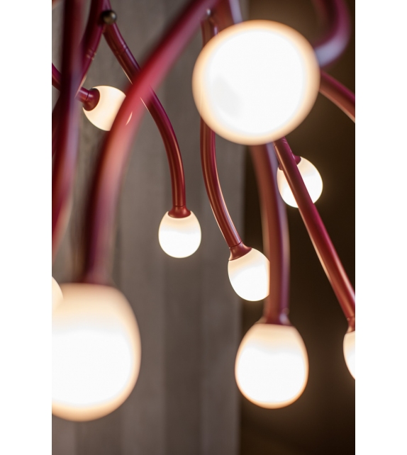 Tilia Lampada a Sospensione Foscarini