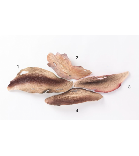 Listo para entregar - Terra Bosa Escultura