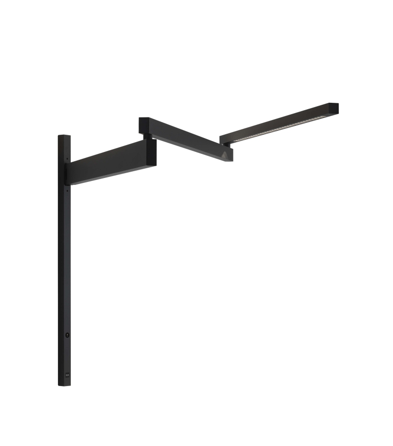 Black Flag Flos Aplique