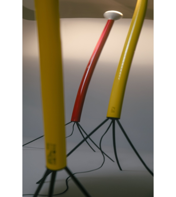 Luminator Flos Lampadaire