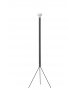 Luminator Flos Lampadaire