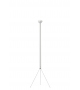 Luminator Flos Floor Lamp
