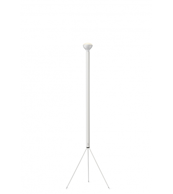 Luminator Flos Floor Lamp