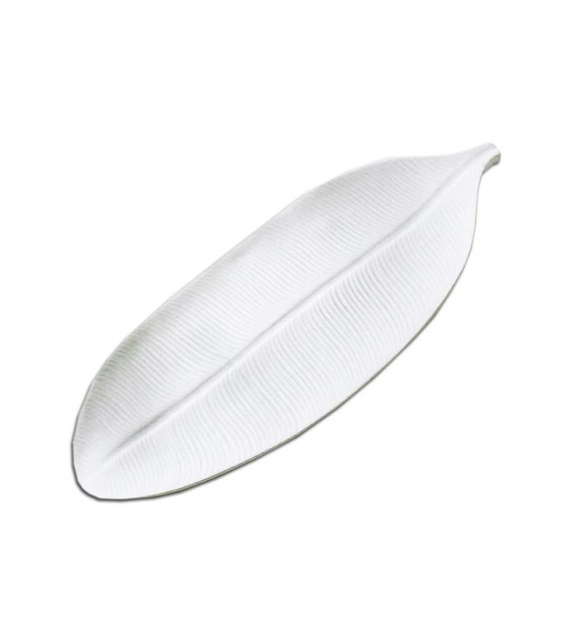 Pronta consegna - Foglia di Banano Bosa Vaso