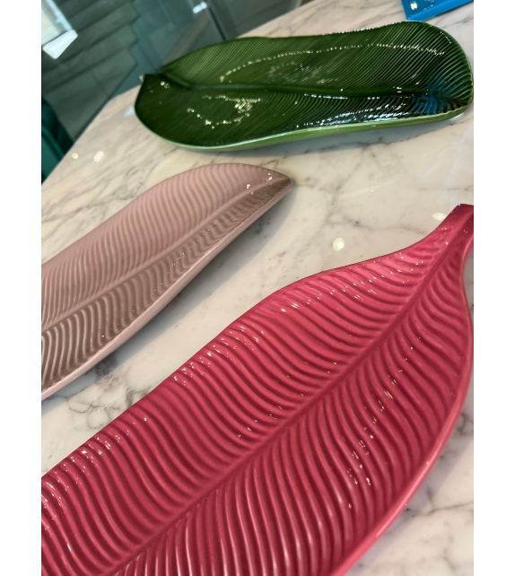 Ready for shipping - Foglia di Banano Bosa Vase