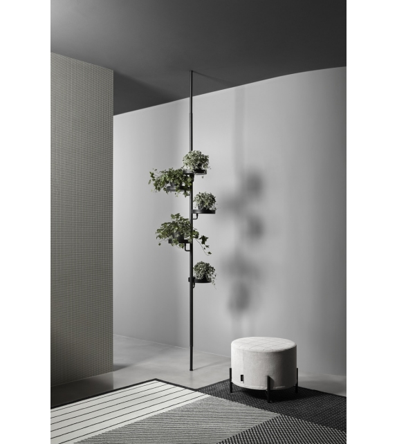 Cactus Antonio Lupi Coat Hanger