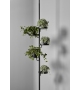 Cactus Antonio Lupi Coat Hanger