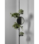 Cactus Antonio Lupi Coat Hanger