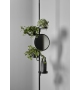 Cactus Antonio Lupi Coat Hanger