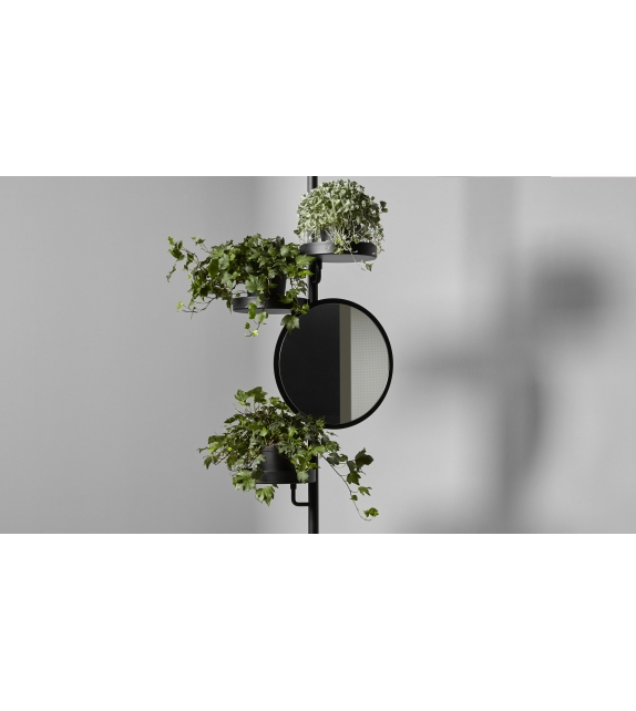 Cactus Antonio Lupi Coat Hanger