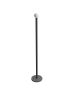 Apollo Antonio Lupi Floor Lamp