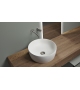 Catino Antonio Lupi Countertop Washbasin