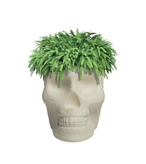 Mexico Small Planter Qeeboo Vase