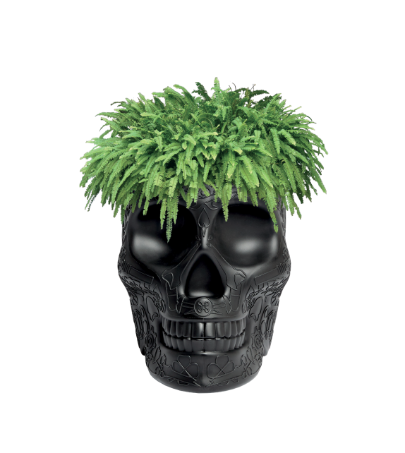 Mexico Small Planter Qeeboo Vaso