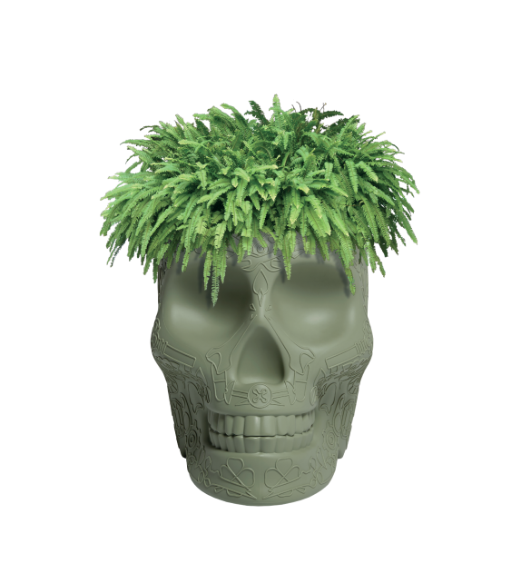 Mexico Small Planter Qeeboo Jarrón