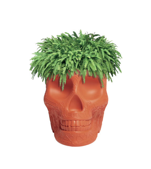 Mexico Small Planter Qeeboo Vaso