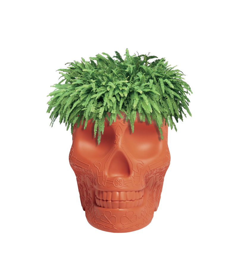 Mexico Small Planter Qeeboo Vaso