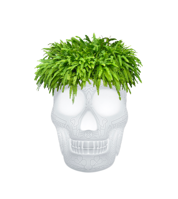 Mexico Planter Qeeboo Leuchte