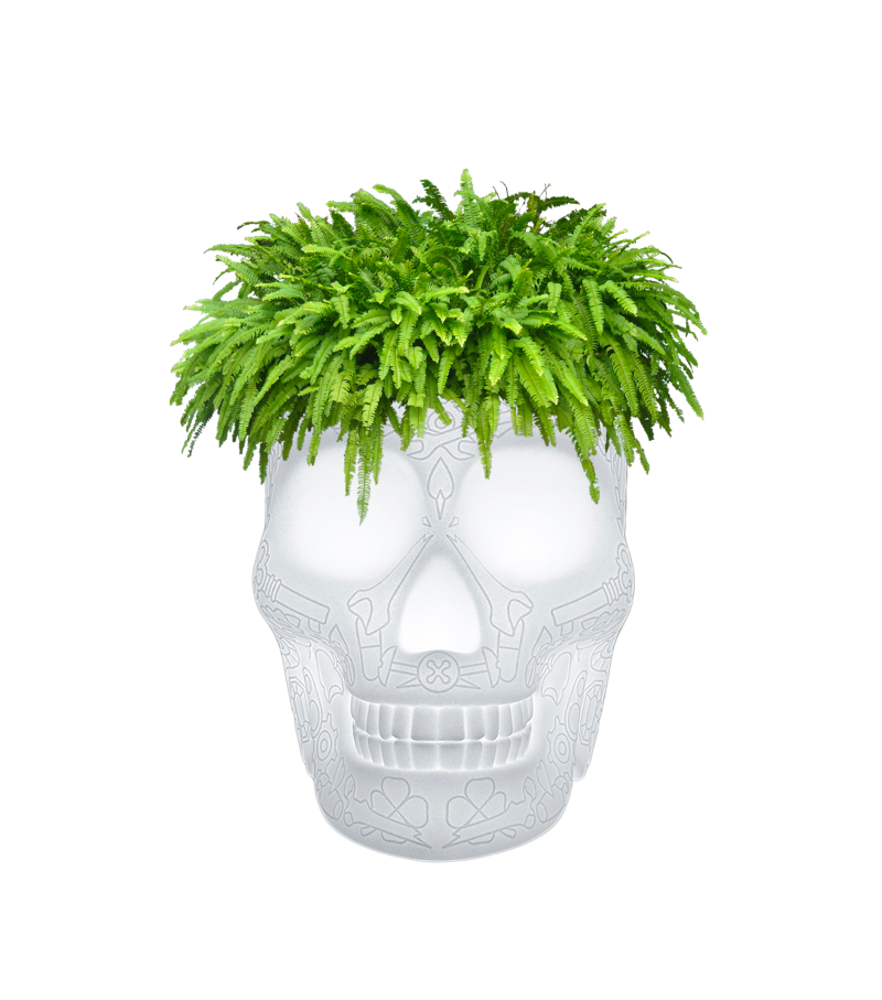 Mexico Planter Qeeboo Lampe