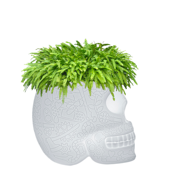 Mexico Planter Qeeboo Lámpara