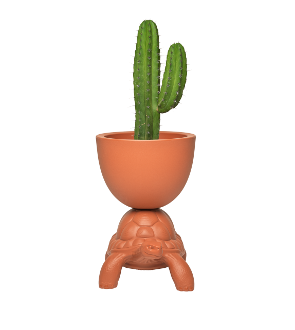 Turtle Carry Qeeboo Vaso