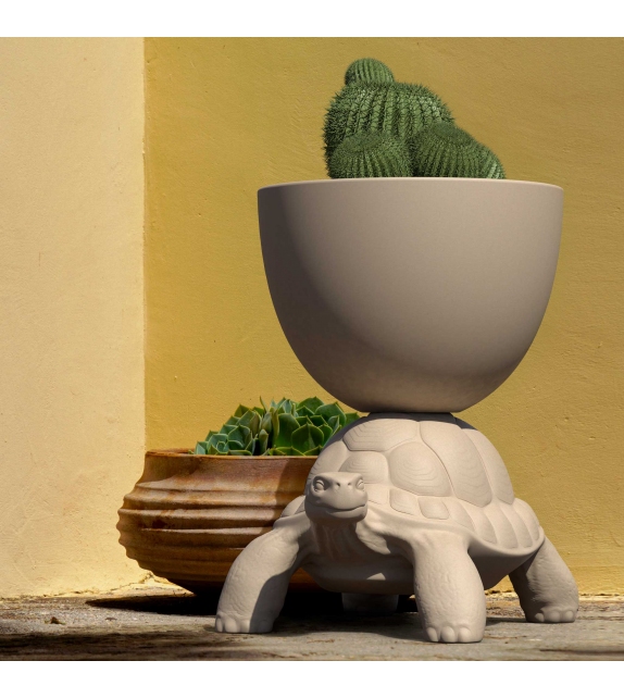 Vase Turtle Carry Qeeboo