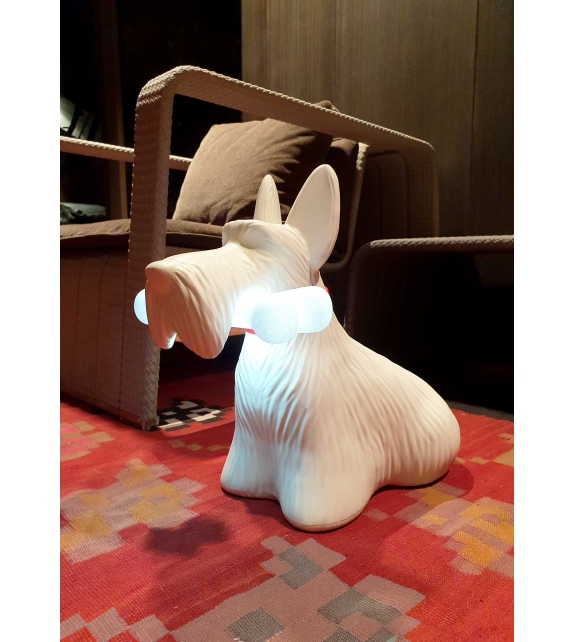 Scottie Qeeboo Floor Lamp